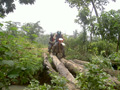 gal/08 - Last Moto Trip/_thb_RIMG2003.jpg